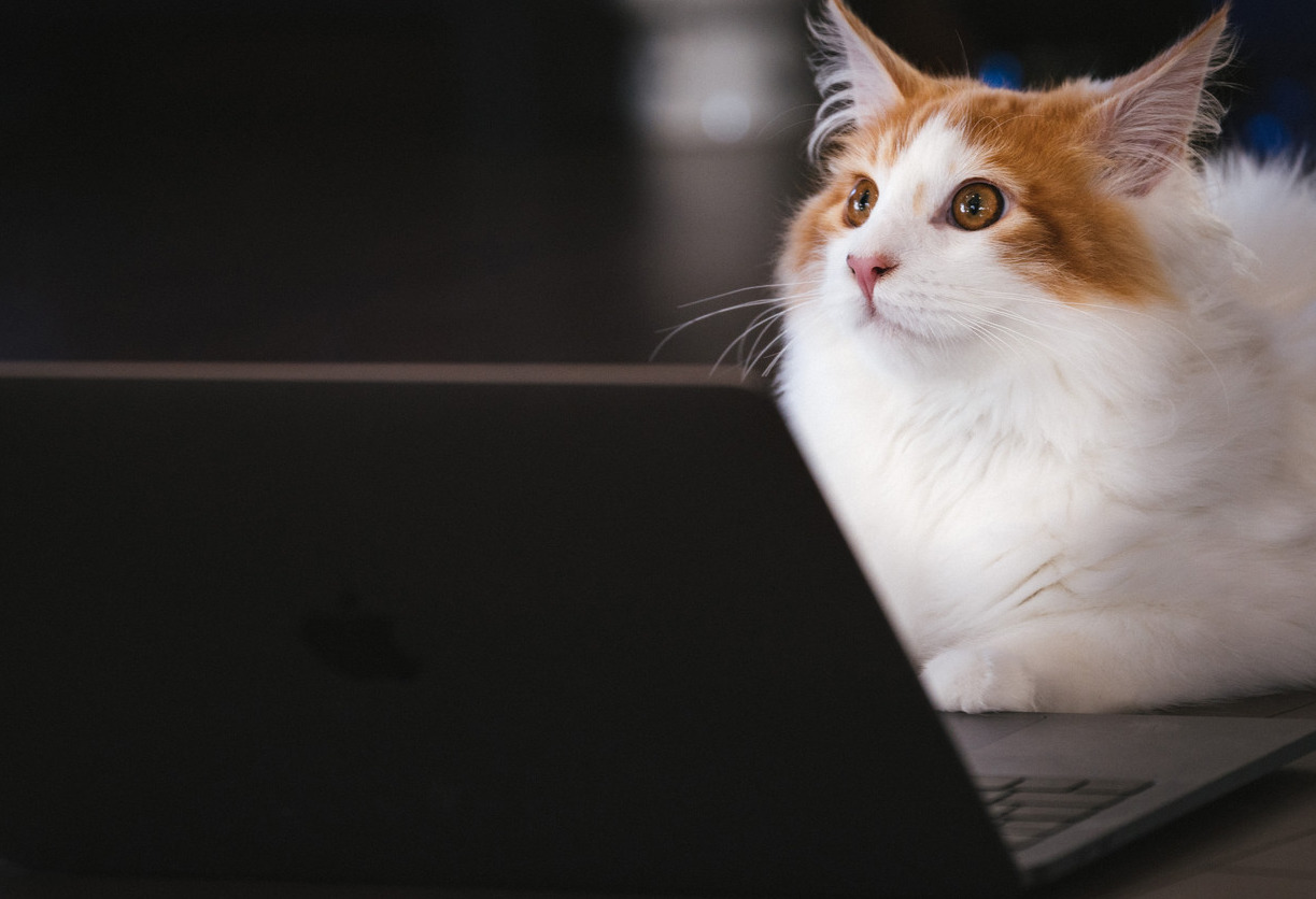 プロフィール背景画像